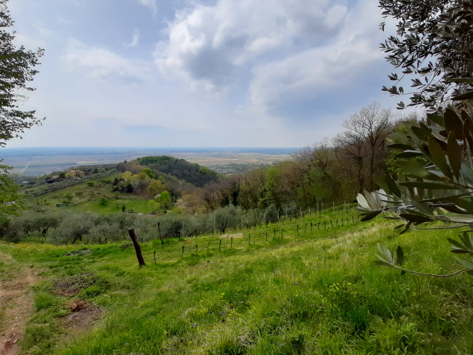 Le colline di Campeglio di Faedis con la casa colonica e i vigneti