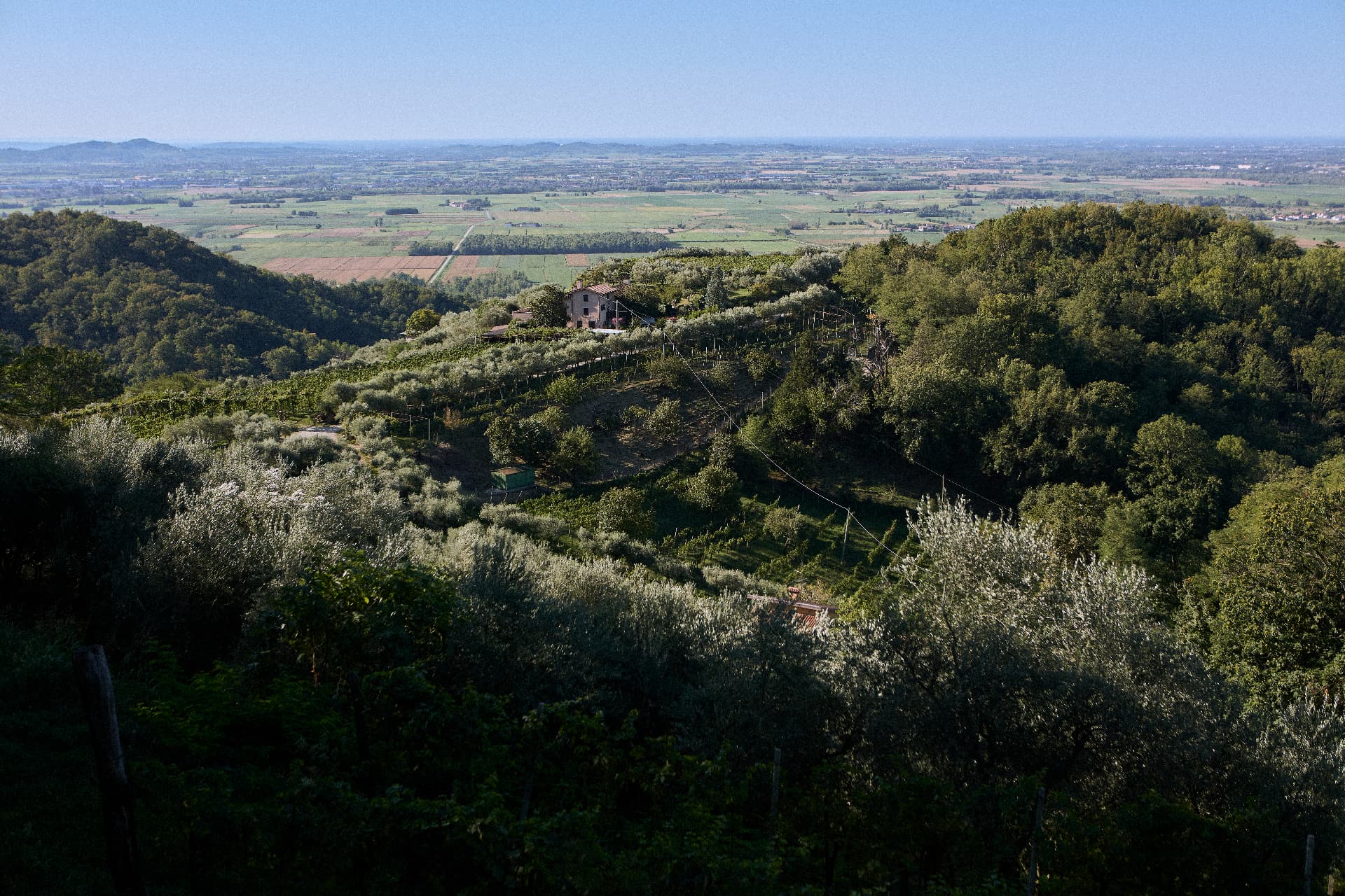Le colline di Campeglio di Faedis con la casa colonica e i vigneti